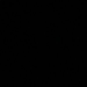 Meet your Posher, Bella